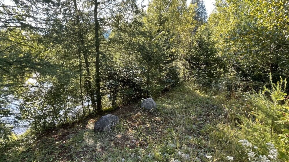 Terrain recreatif ste christine dauvergne 1600 14857268